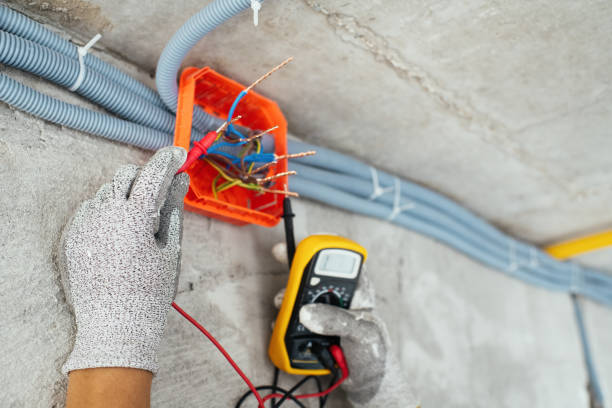 Best Ceiling Fan Installation Electrician  in Shoemakersville, PA